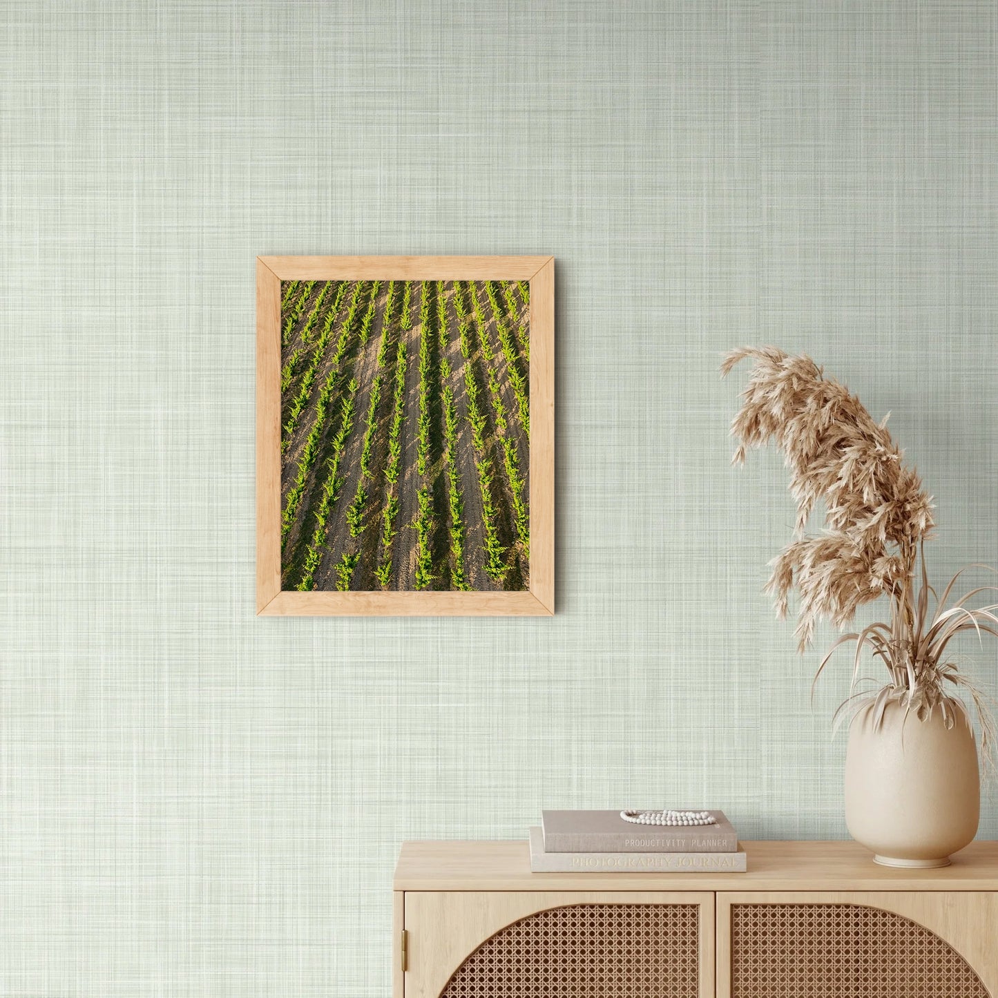 Vines