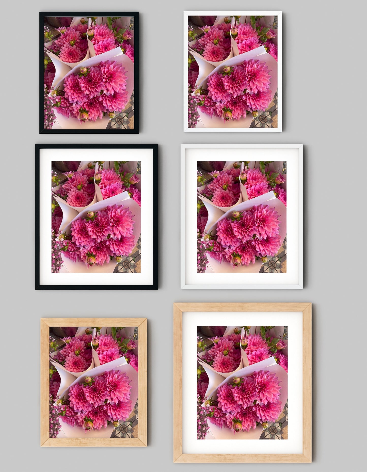 Pink Dahlia