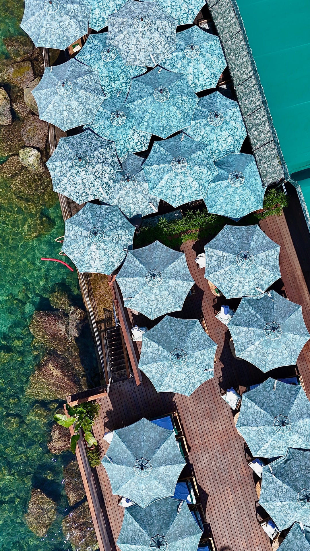 Aqua Umbrellas