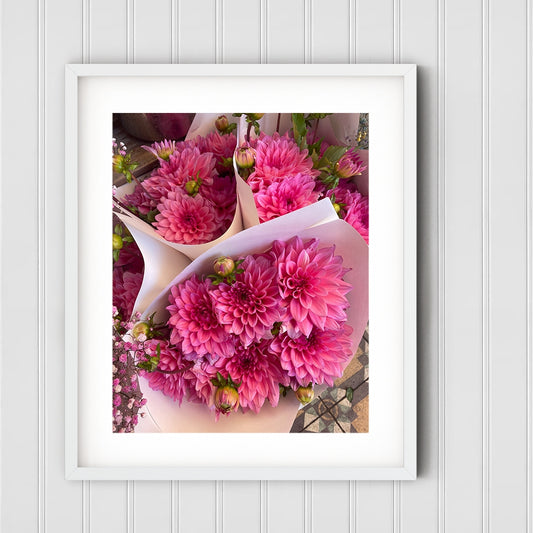 Pink Dahlia