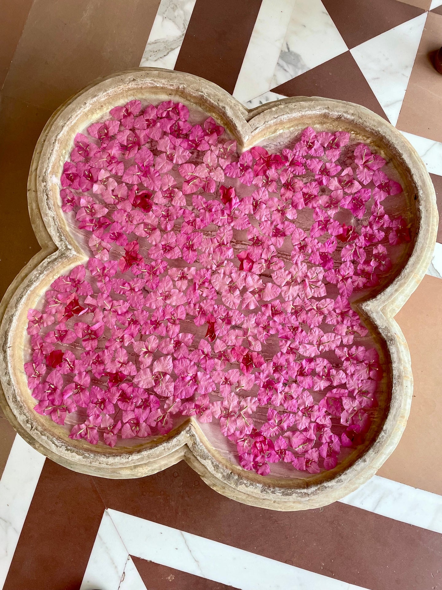 Blossom Quatrefoil