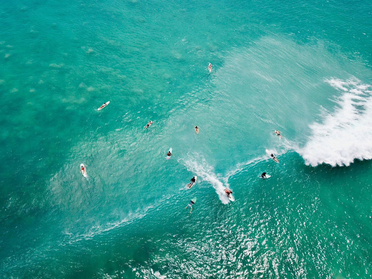 Lineup in Maui